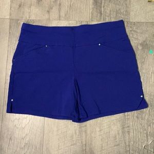 INC Blue Shorts, Size 8